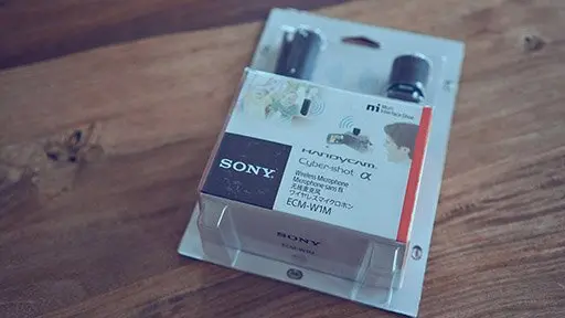 Sony ECM-W1M vs ECM-B1M