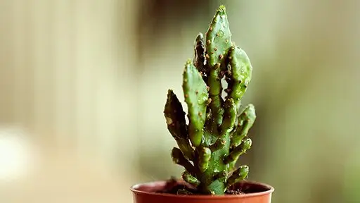 Dinge, über die wir nicht sprechen