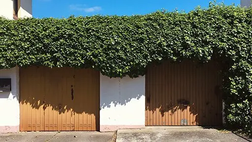 Wo kann ich fotografieren?