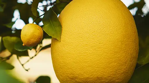 Falsch beschuldigt von der KI