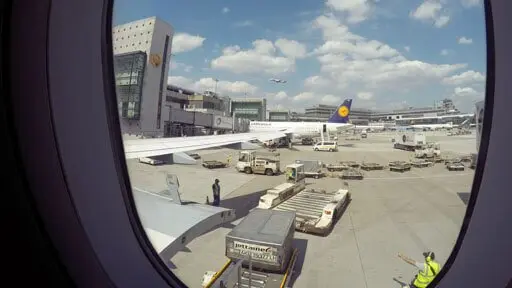 My year in fast forward