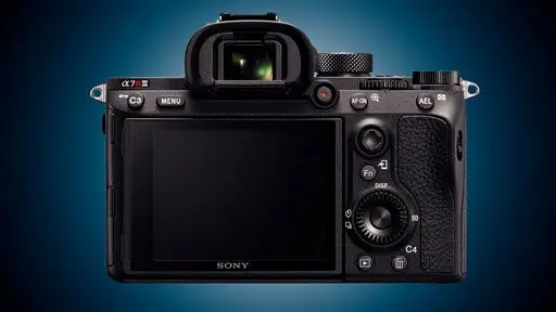 Appeal of the Sony a7RIII