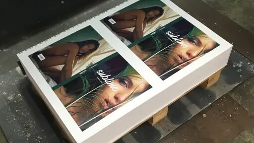 Pre-sale of my new book