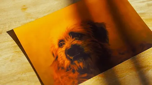 Ordering goods after Brexit