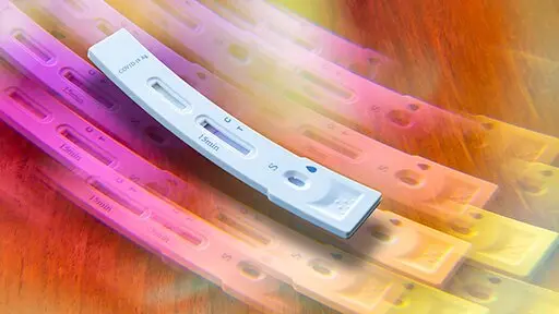 Corona: 18 months later