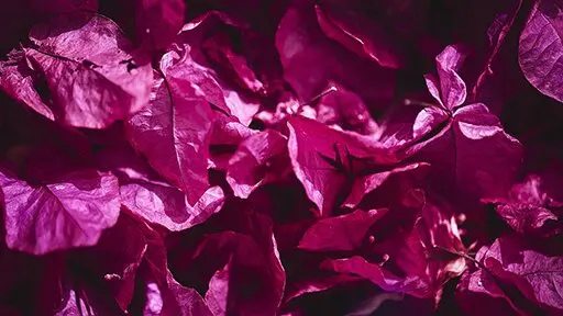 What does it take to be an artist?