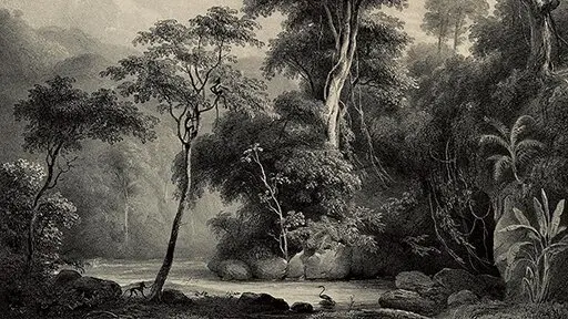 What you see is what you imagine