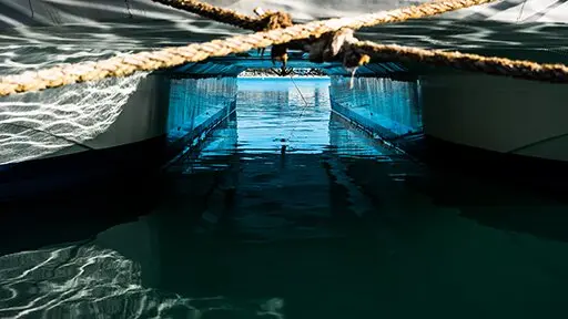 Dissatisfaction as a steady drive