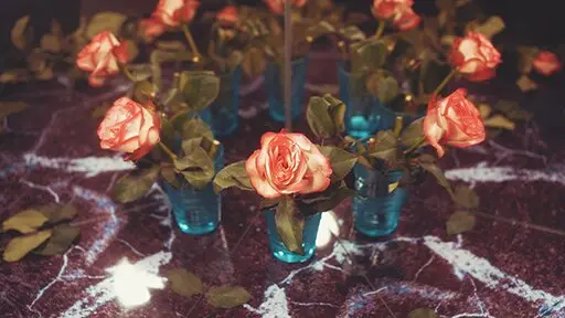 Seeing double: How mirrors confuse our brains