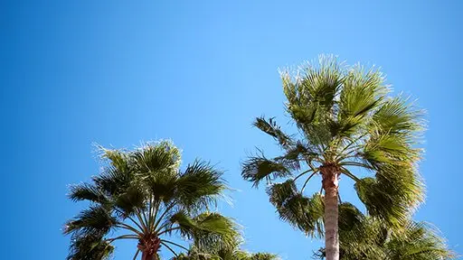 Postcard sky in summer?