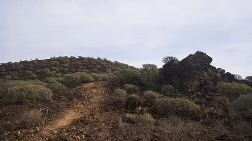 What's with all the garbage?