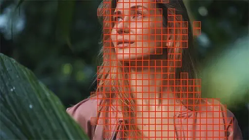 Naked on the Net: How Algorithms Strip Our Images