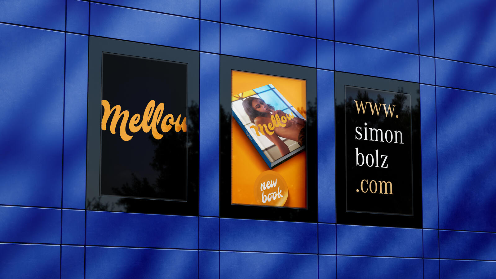 Two Photo Books with Minor Flaws