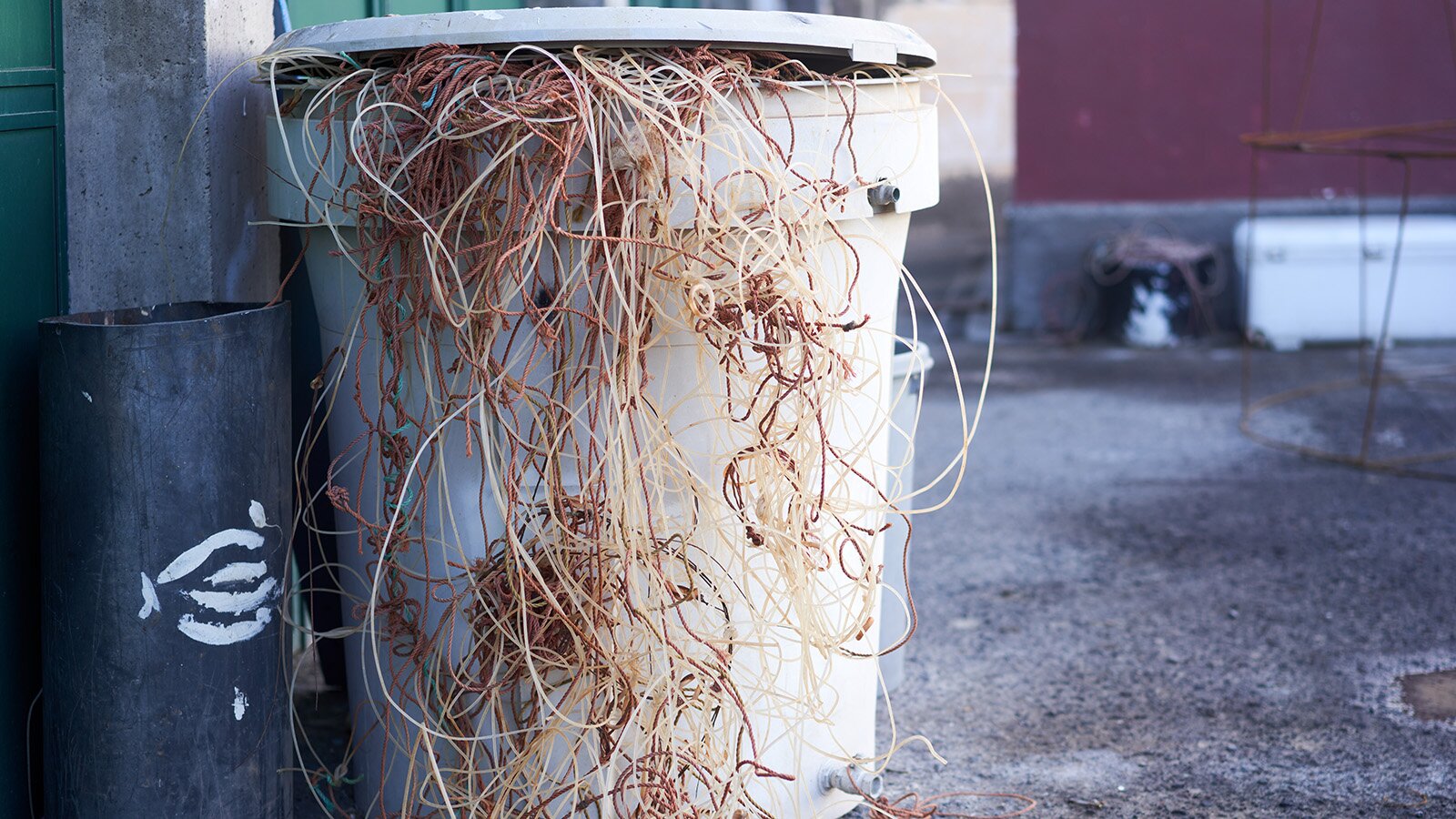 Thought is the Enemy of Flow