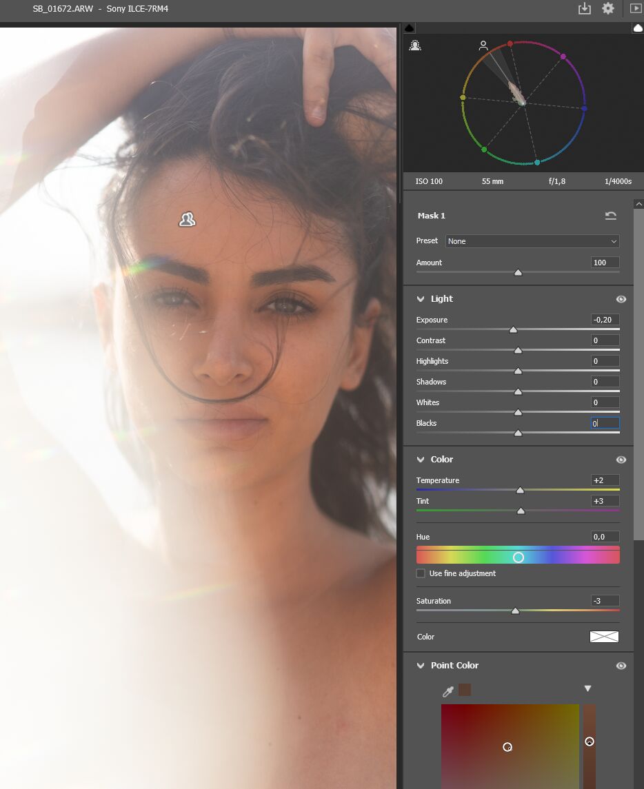 Vectorscope and Skin Line