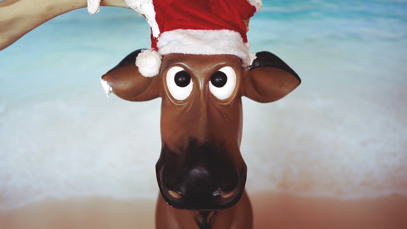 Rudolph und andere Künstlernamen